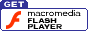FlashPlayerDL