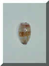 17.2002.10.JPG (33178 �o�C�g)