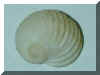 31.2001.9.29.JPG (38240 �o�C�g)