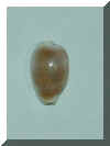 44.2001.11.JPG (36410 �o�C�g)