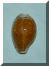 45.2001.9.29.JPG (33152 �o�C�g)
