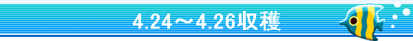 4.24�`4.26���n