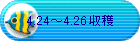4.24�`4.26���n