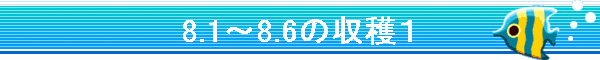 8.1�`8.6�̎��n�P