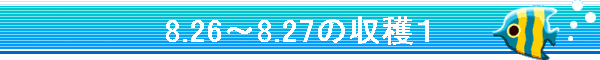 8.26�`8.27�̎��n�P