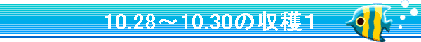 10.28�`10.30�̎��n�P