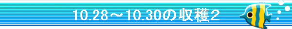 10.28�`10.30�̎��n�Q