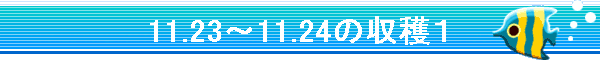 11.23�`11.24�̎��n�P