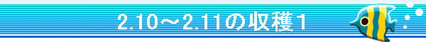 2.10�`2.11�̎��n�P