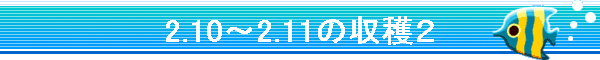 2.10�`2.11�̎��n�Q