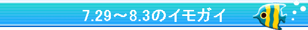 7.29�`8.3�̃C���K�C