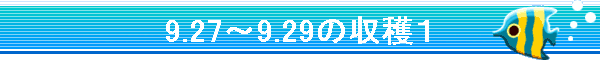 9.27�`9.29�̎��n�P