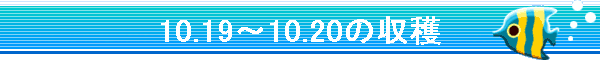 10.19�`10.20�̎��n