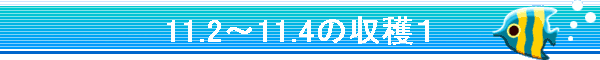 11.2�`11.4�̎��n�P