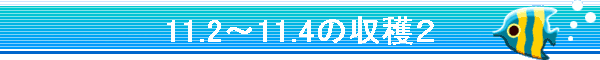 11.2�`11.4�̎��n�Q
