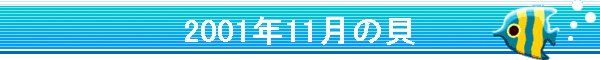 2001�N11���̊L