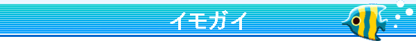 �C���K�C