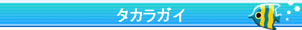 �^�J���K�C