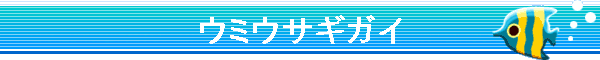 �E�~�E�T�M�K�C