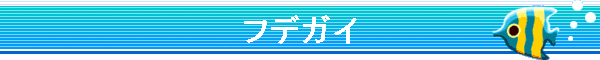 �t�f�K�C