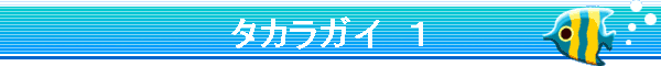 �^�J���K�C�@�P