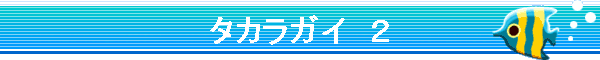 �^�J���K�C�@�Q