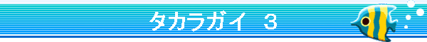 �^�J���K�C�@�R