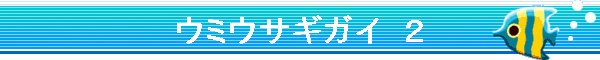 �E�~�E�T�M�K�C�@�Q