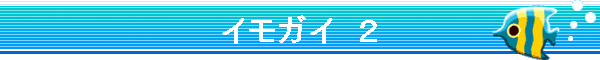 �C���K�C�@�Q
