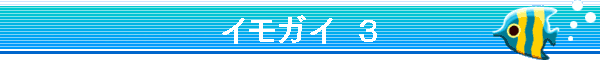 �C���K�C�@�R