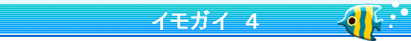 �C���K�C�@�S