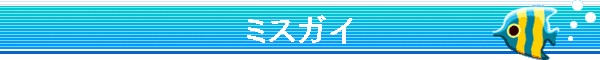 �~�X�K�C