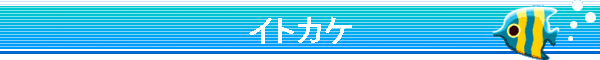 �C�g�J�P