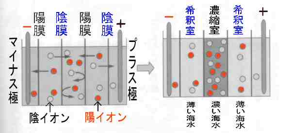 �C�I������