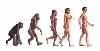 猿人進化
